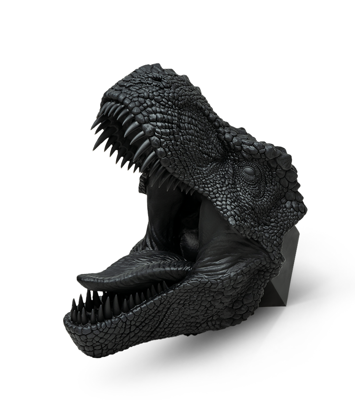 Phrozen Standard Speed Plus Resin