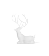Phrozen Standard Clear Plus/ Clear Resin